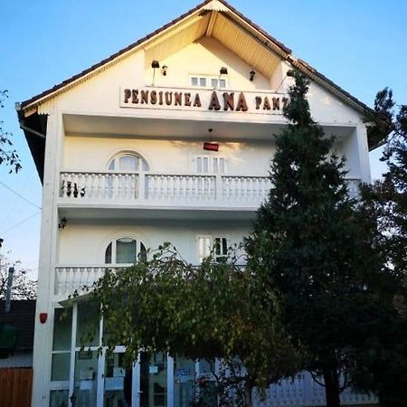 Pensiunea Ana Nagyernye Kültér fotó